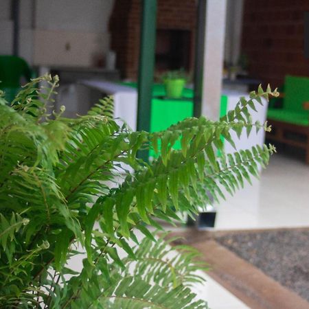 نزل إنكارناسيونفي Helecho'S Hostal المظهر الخارجي الصورة