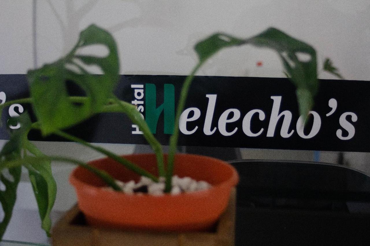 نزل إنكارناسيونفي Helecho'S Hostal المظهر الخارجي الصورة