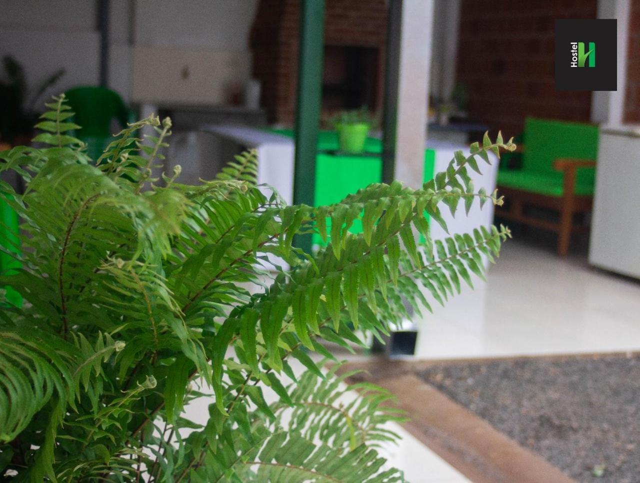 نزل إنكارناسيونفي Helecho'S Hostal المظهر الخارجي الصورة