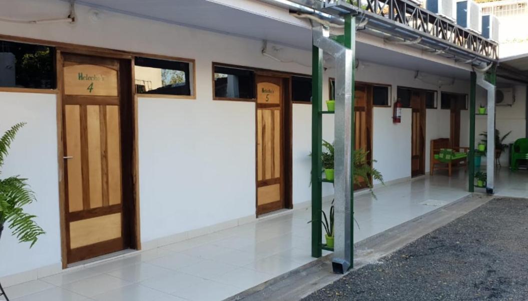 نزل إنكارناسيونفي Helecho'S Hostal المظهر الخارجي الصورة